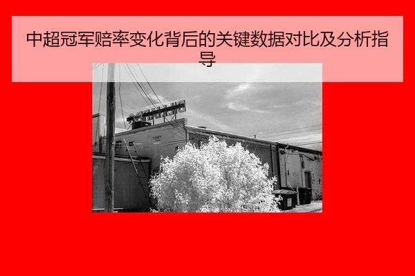 zhong-chao-guan-jun-pei-lv-bian-hua-bei-hou-de-guan-jian-shu-ju-dui-bi-ji-fen-xi-zhi-dao-2-254.jpg